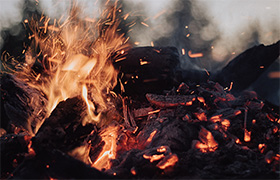 研究进展|钢结构防火涂料耐候性调研（一）：防火涂料老化的致因分析